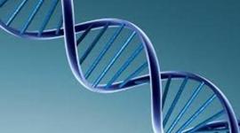 Timeline: linea de tiempo ADN