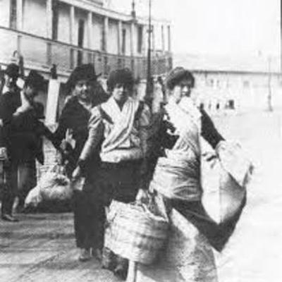 Timeline: Story of Annie Hogan