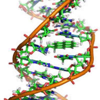 Timeline: Principales acontecimientos del DNA