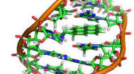 Timeline: Principales acontecimientos del DNA