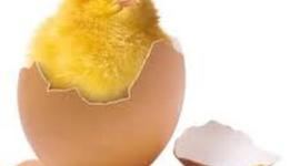 Timeline: Get ready for Easter!