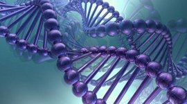 Timeline: Cronograma del ADN