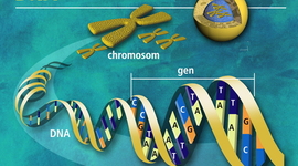 Timeline: los principales acontecimientos del DNA