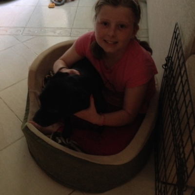 Timeline: Rebecca's Timeline