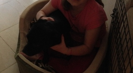 Timeline: Rebecca's Timeline