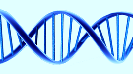 Timeline: genoma humano