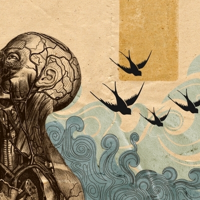 Timeline: Linea de tiempo 2014 segundo semestre