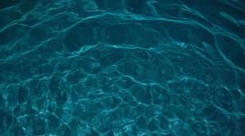 Timeline: '13-'14 Season