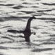 Loch ness monster