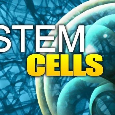 Timeline: Stem Cell History By: Tj Groover