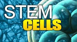 Timeline: Stem Cell History By: Tj Groover