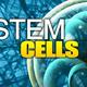 Stem cell 1