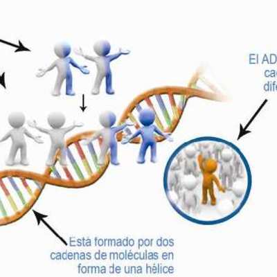 Timeline: Historia del DNA