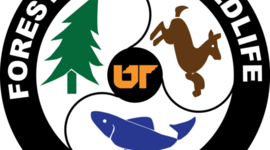 Timeline: History of the UT Department of Forestry, Wildlife and Fisheries