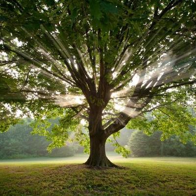 Timeline: My life Schedule