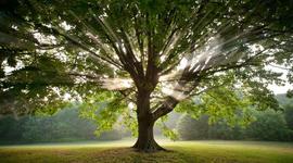 Timeline: My life Schedule