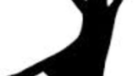 Timeline: Graduate HIghschool