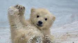 Timeline: Unit 5 Timeline of Glory