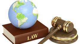 Timeline: Environmental Laws & Treaties/ People to Know