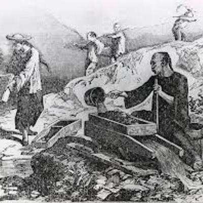 Timeline: Chinese Immagrant