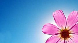 Timeline: Walt Disney