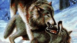 Timeline: Jadi Buck's Journey in The Call of the Wild