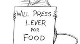 Timeline: Chapters 10-12: Behaviorism and Mental Illness Treatment