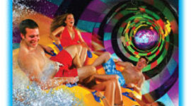 Timeline: Wet n' Wild FLorida Activities