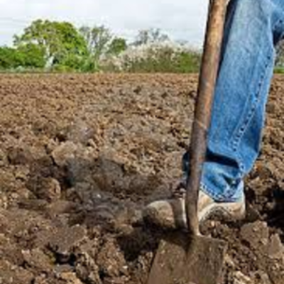 Timeline: Career Timeline