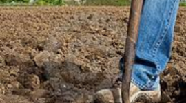 Timeline: Career Timeline