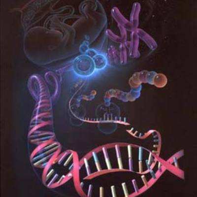 Timeline: Principales acontecimientos del DNA