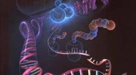 Timeline: Principales acontecimientos del DNA