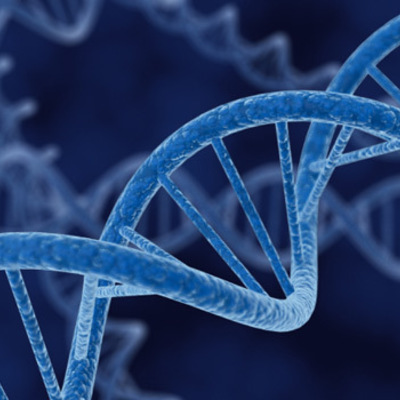 Timeline: Principales descubrimientos del DNA