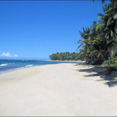 Timeline: Hokie Pokie Island