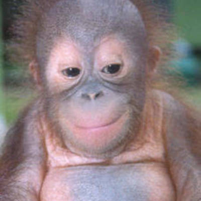 Timeline: Timeline of Claire's Life