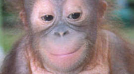 Timeline: Timeline of Claire's Life