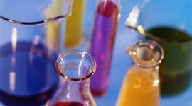 Timeline: Science Fair Timeline