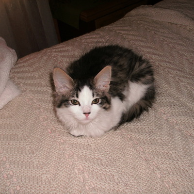 Timeline: El día terrible de Penelope