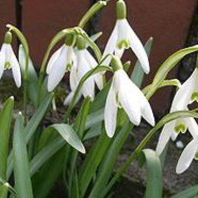 Timeline: kursuse e-portfoolio