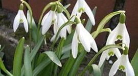 Timeline: kursuse e-portfoolio