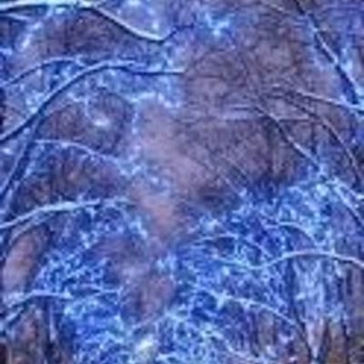 Timeline: Minu ePortfoolio