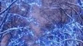 Timeline: Minu ePortfoolio