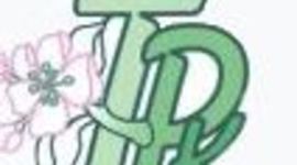 Timeline: Kursuse e-portfoolio