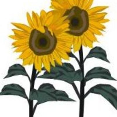 Timeline: Kursuse ePortfolio