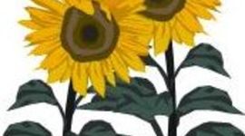 Timeline: Kursuse ePortfolio