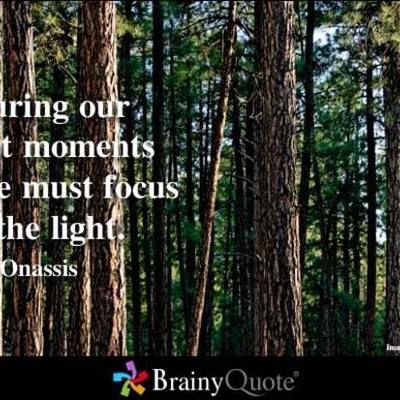 Timeline: Professional Career