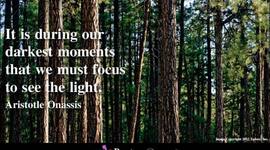 Timeline: Professional Career