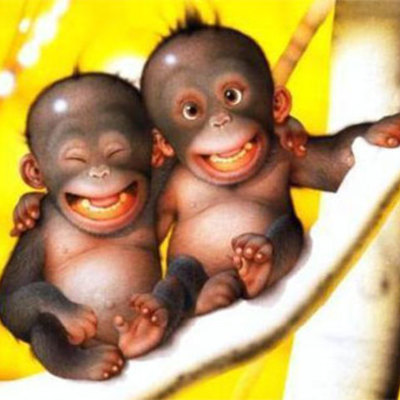 Timeline: Life and Times of Mackenzie