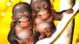 Timeline: Life and Times of Mackenzie