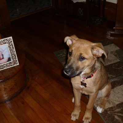 Timeline: Music Pass